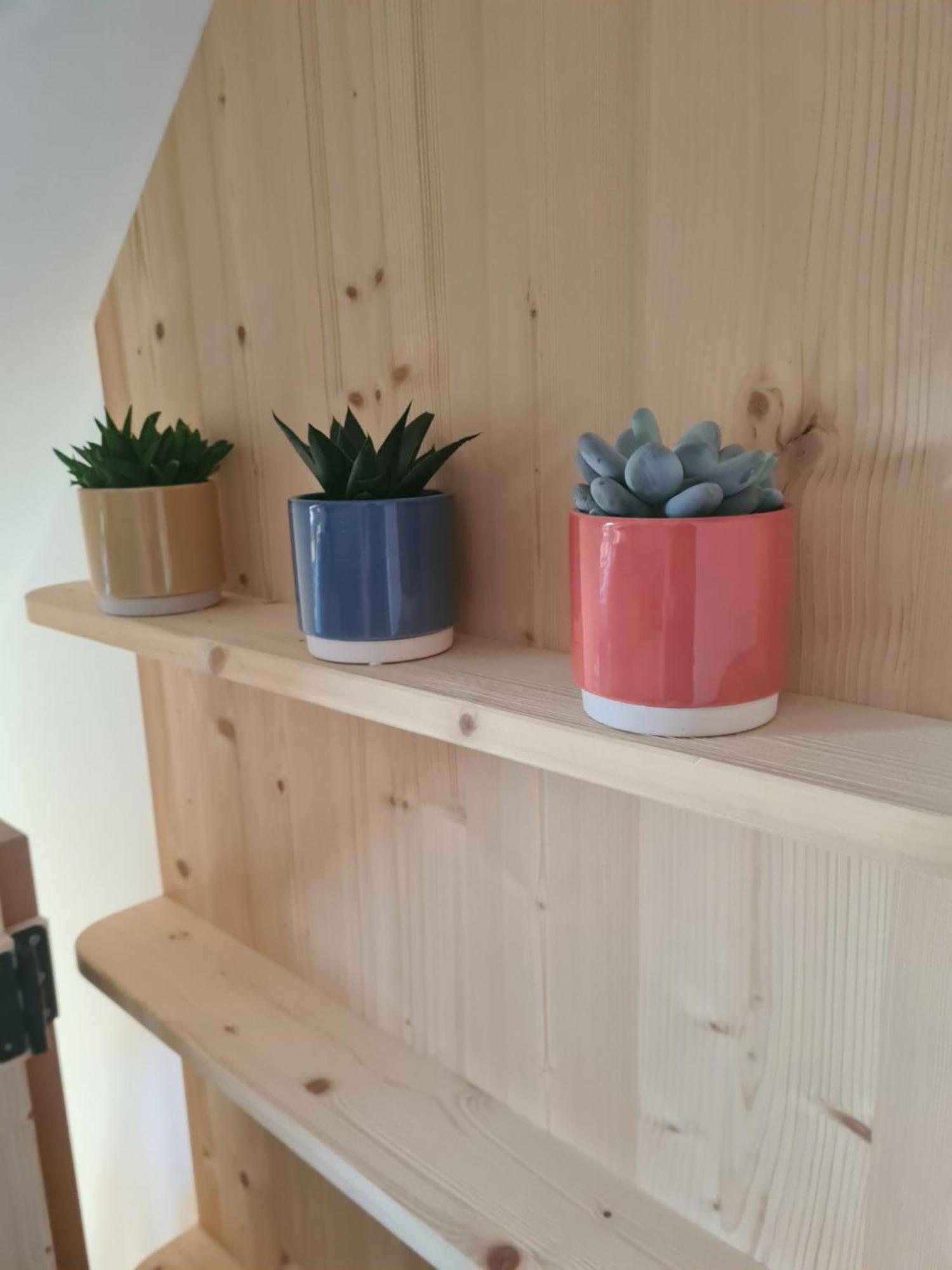 Eco Boutique Hotel Ams Beagle ブレッド エクステリア 写真