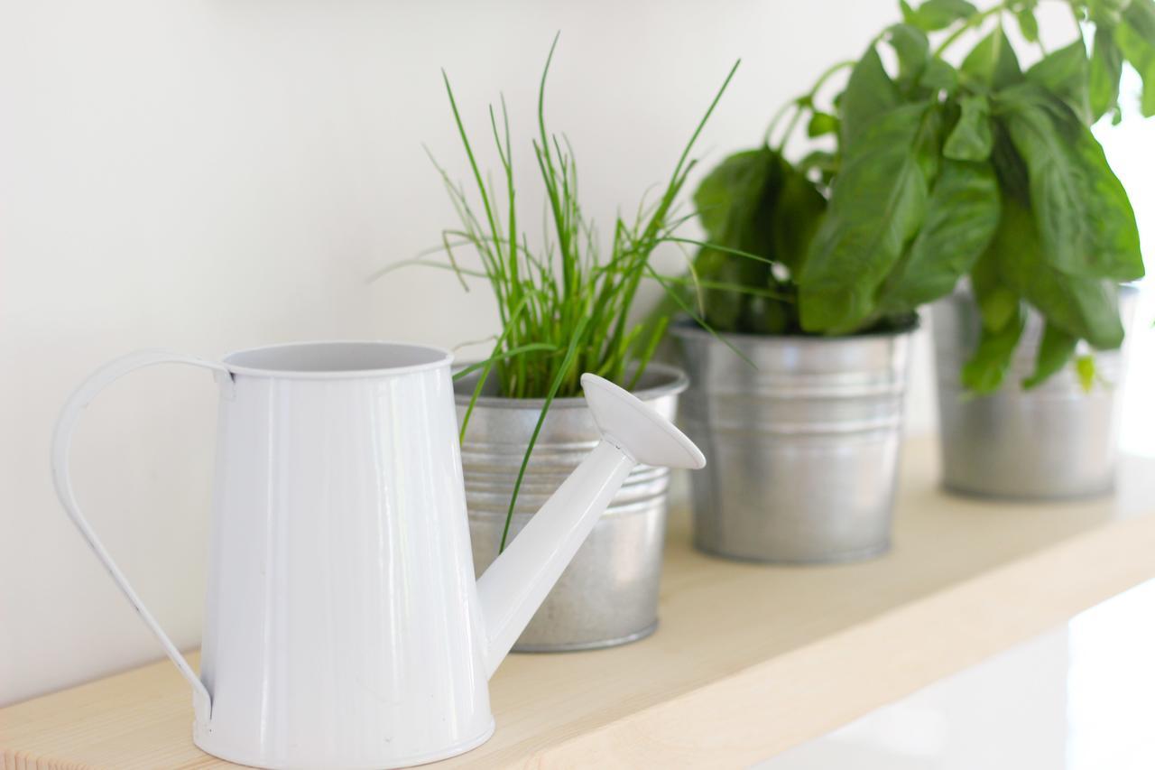 Eco Boutique Hotel Ams Beagle ブレッド エクステリア 写真